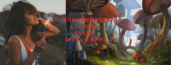 альфа пвп Вяземский