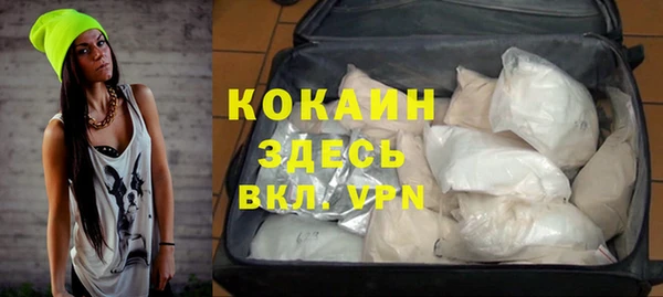 spice Бородино