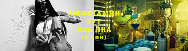тгк Снежногорск
